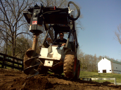 bobcat