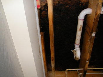 molded floor