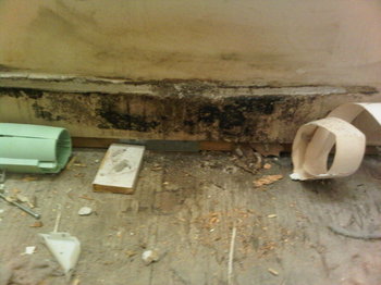 molded floor