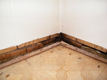 molded floor